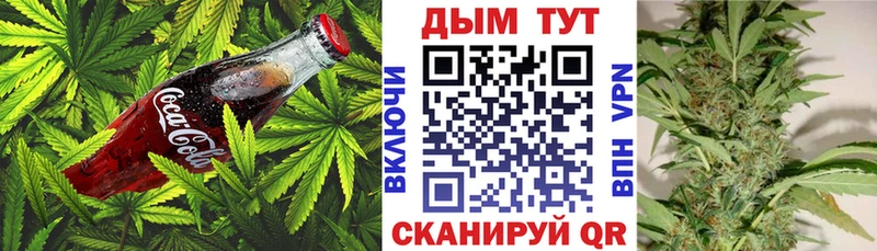 Еда ТГК конопля  где можно купить наркотик  Кингисепп 
