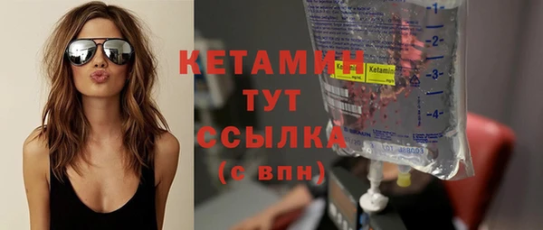 трава Белокуриха