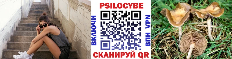 где можно купить   Кингисепп  Псилоцибиновые грибы мухоморы 